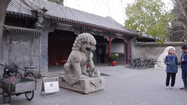 2018 清華大学 元ロイヤル清華庭の宮殿の入り口にライオンの石像 — ストック動画
