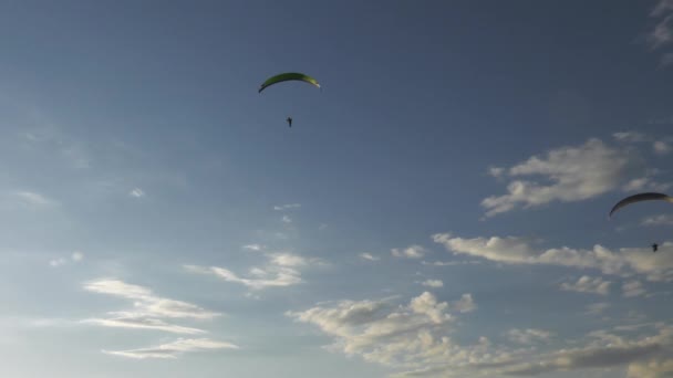 Parapente Volando Corriente Aire — Vídeo de stock