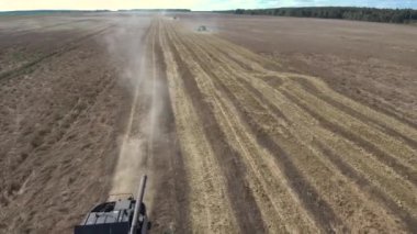 Tahıl üretici. Tahıl hasat biçerdöverler. Havadan görünümü.