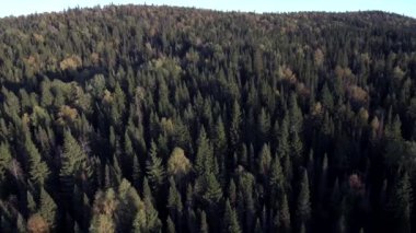 Tayga Güz. Havadan görünümü.