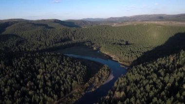 Tayga Güz. Riverside. Havadan görünümü.
