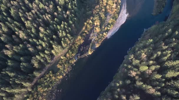 Taiga Jesienią Riverside Widok Lotu Ptaka — Wideo stockowe