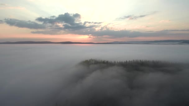 Taiga Outono Névoa Matinal Vista Aérea — Vídeo de Stock