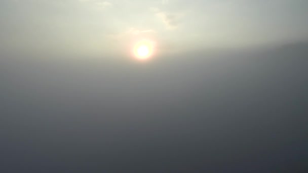 Taiga Autumn Morning Mist Aerial View — Stock Video