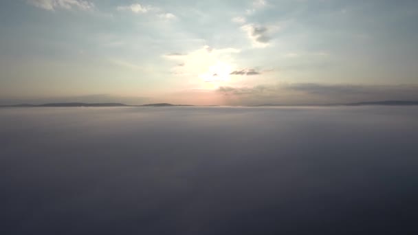 Taiga Automne Brume Matinale Vue Aérienne — Video