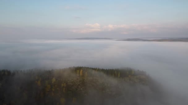 Tayga Güz Sabah Sis Havadan Görünümü — Stok video