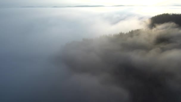 Taiga Outono Névoa Matinal Vista Aérea — Vídeo de Stock