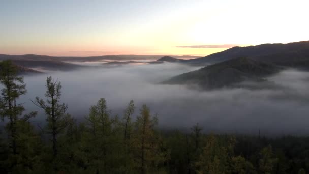 Τάιγκα Φθινόπωρο Πρωινή Ομίχλη Εναέρια Άποψη — Αρχείο Βίντεο
