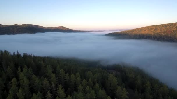 Taiga Jesienią Ranna Mgła Widok Lotu Ptaka — Wideo stockowe