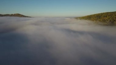 Tayga Güz. Sabah sis. Havadan görünümü.