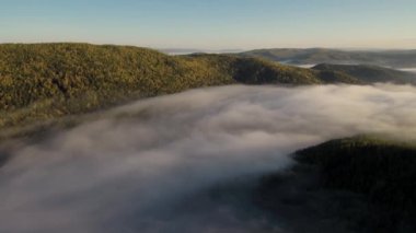 Tayga Güz. Sabah sis. Havadan görünümü.