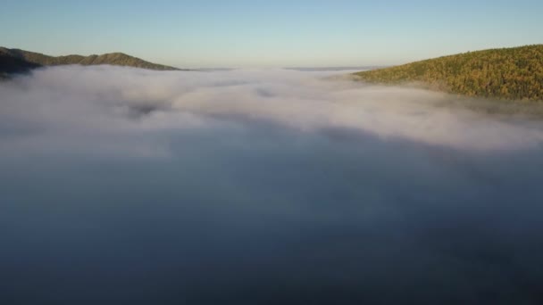 Taiga Otoño Niebla Matutina Vista Aérea — Vídeo de stock