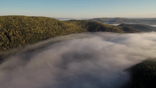 Taiga Automne Brume Matinale Vue Aérienne — Video