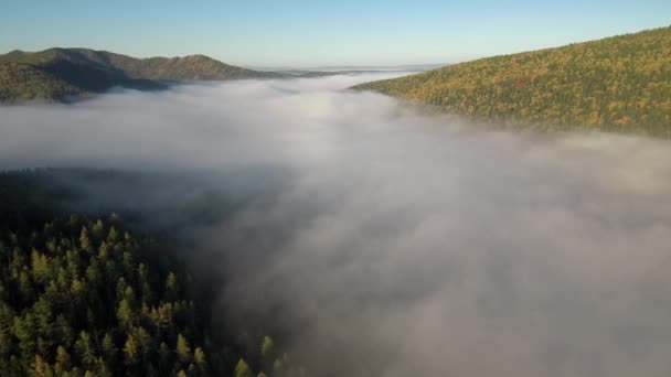 Taiga Jesienią Ranna Mgła Widok Lotu Ptaka — Wideo stockowe
