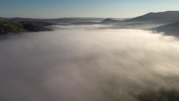 Taiga Herfst Ochtendnevel Luchtfoto — Stockvideo