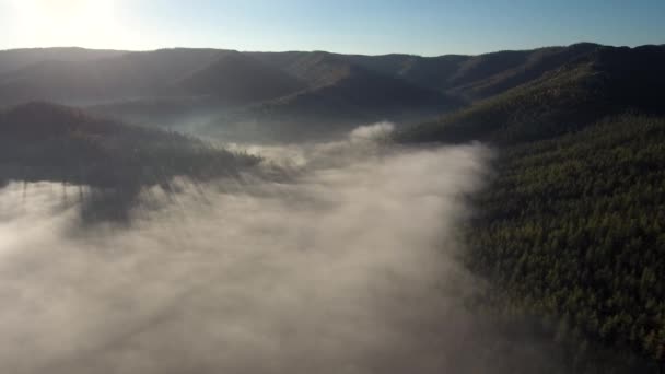 Taiga Herfst Ochtendnevel Luchtfoto — Stockvideo