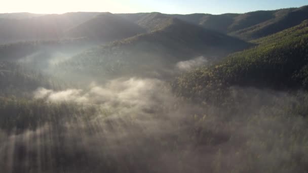 Taiga Autunno Nebbia Mattutina Vista Aerea — Video Stock