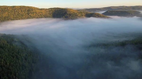 Tajga Podzim Ranní Mlha Letecký Pohled — Stock fotografie