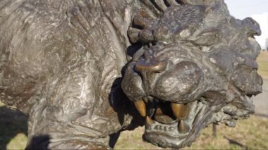 Samarovsky aykırı. Archeopark. Ave aslan.