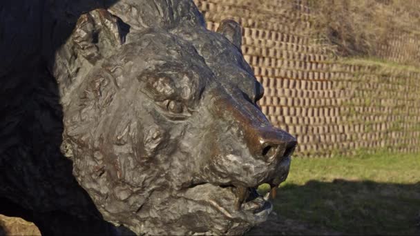 Samarovsky Odstających Archeopark Ave Niedźwiedź — Wideo stockowe