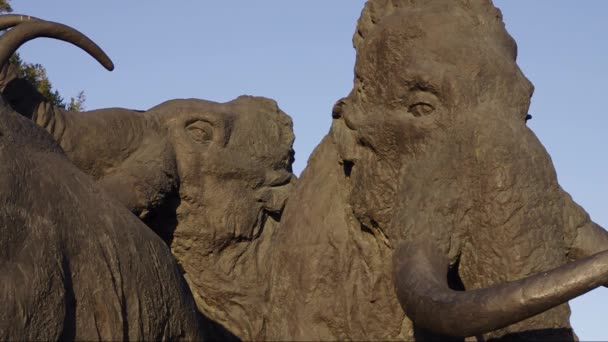 Ακραία Τιμή Samarovsky Archeopark Ένα Κοπάδι Των Μαμούθ — Αρχείο Βίντεο