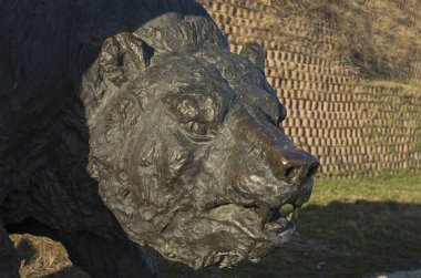 Samarovsky aykırı. Archeopark. Ave ayı.