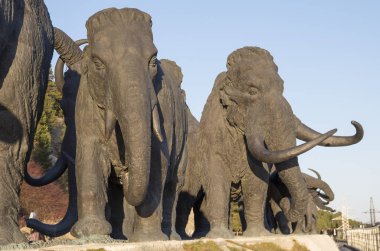 Samarovsky outlier. Archeopark. A herd of mammoths. clipart