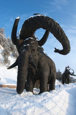 Samarovsky aykırı. Archeopark. Mamutlar sürüsü.