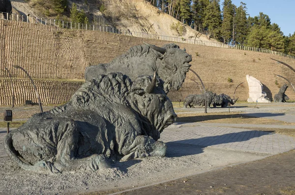 Samarovsky Uitschieter Archéopark Een Kudde Voor Bison — Stockfoto