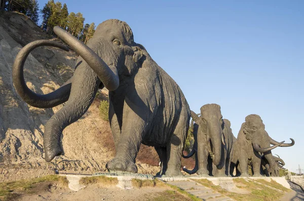 Samarovsky aykırı. Archeopark. Mamutlar sürüsü.