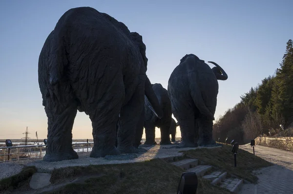 Samarovsky Outlier Archeopark Una Mandria Mammut — Foto Stock