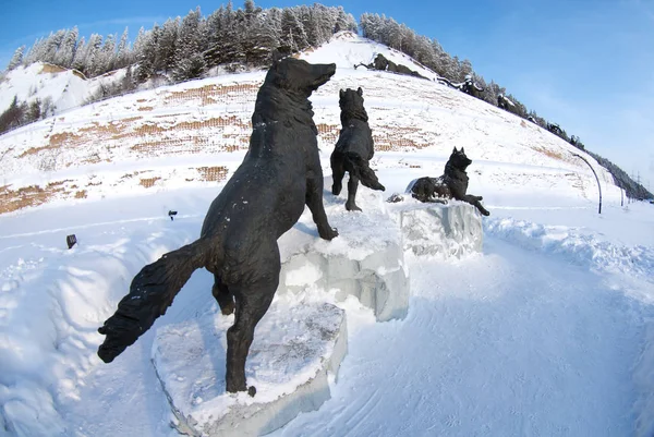 Samarovsky Odstających Archeopark Wolf Pack — Zdjęcie stockowe