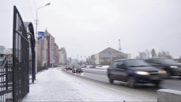 Surgut Invierno Vista Del Gazpromtransgaz Estatua Del Zorro Negro Símbolo — Vídeo de stock