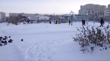 Surgut. Kışın şehir. Okul ve güvercinler sürüsü.