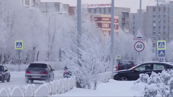 Surgut Kışın Şehir Sokak Trafik — Stok video