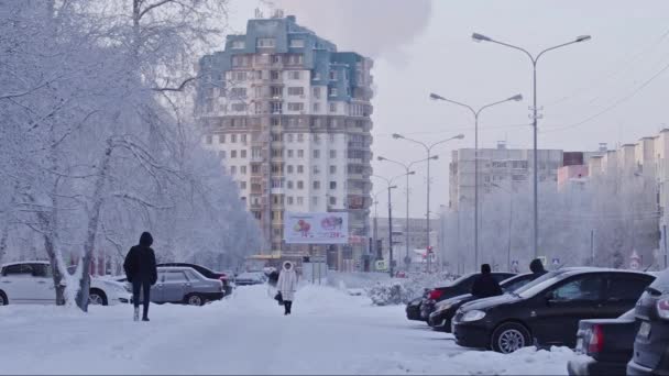 Surgut Město Zimě Ulice Dopravní — Stock video