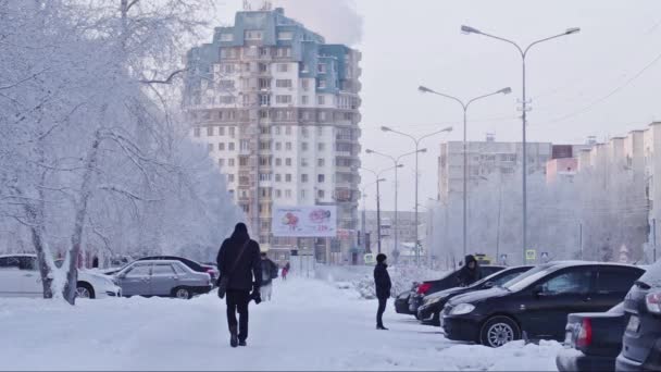 Surgut Kışın Şehir Sokak Trafik — Stok video