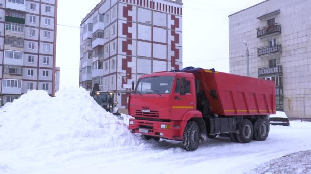 Трактор Убирает Снег Дороги — стоковое видео