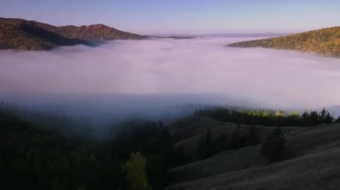 Tayga Güz. Sabah sis.