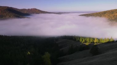 Tayga Güz. Sabah sis.