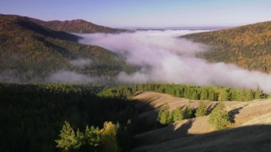 Tayga Güz. Sabah sis.