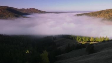 Tayga Güz. Sabah sis. 55 kez hızlandırılmış.