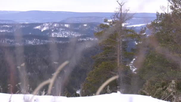 Montanhas Urais Inverno Amanhecer — Vídeo de Stock