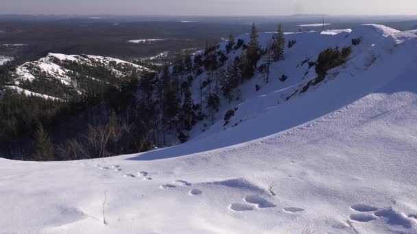 Montagnes Oural Hiver Jour Givré — Video