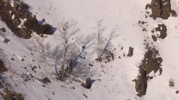 冬のウラル山脈 冷ややかな日 — ストック動画