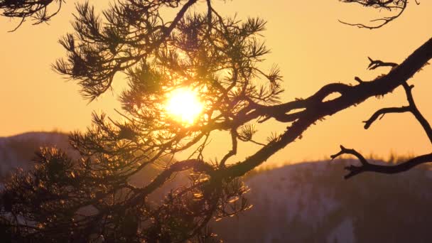 Uralbergen Vintern Solnedgången — Stockvideo