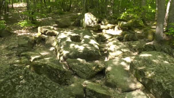 Dolmen Vallei Van Rivier Zhane — Stockvideo