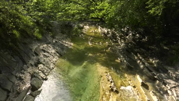 Кавказькі Гори Гірська Річка Жийн — стокове відео