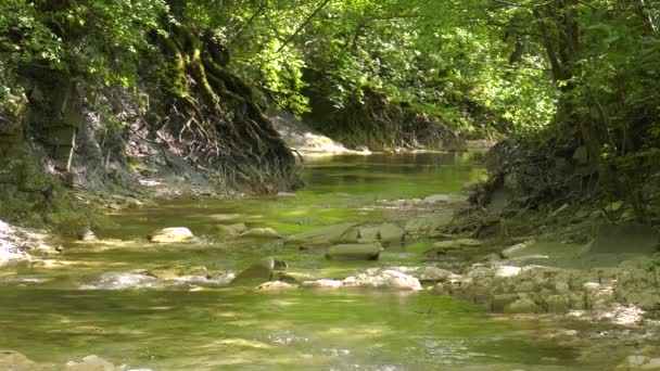 Montagnes Caucase Rivière Montagne Zhane — Video