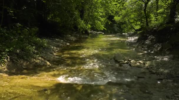 Kaukasiska Berg Berg Flod Zhane — Stockvideo